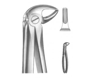 Extracting Forceps English pattern